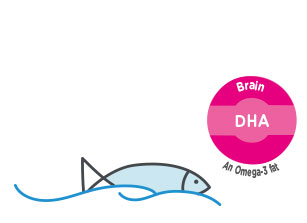 DHA brain