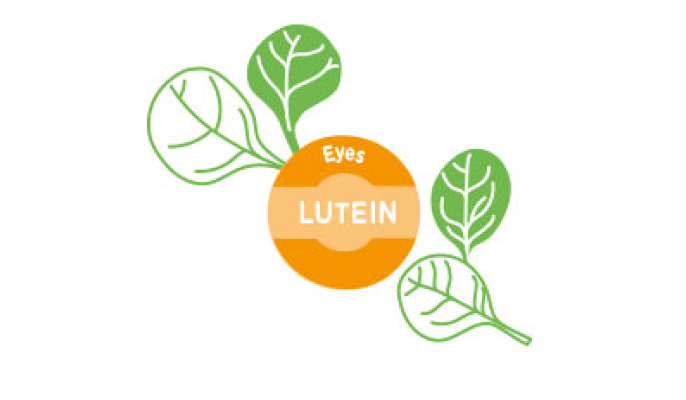 lutein_tcm1385-82729.png