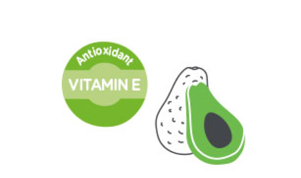 vitamin-e_tcm1385-82730.png